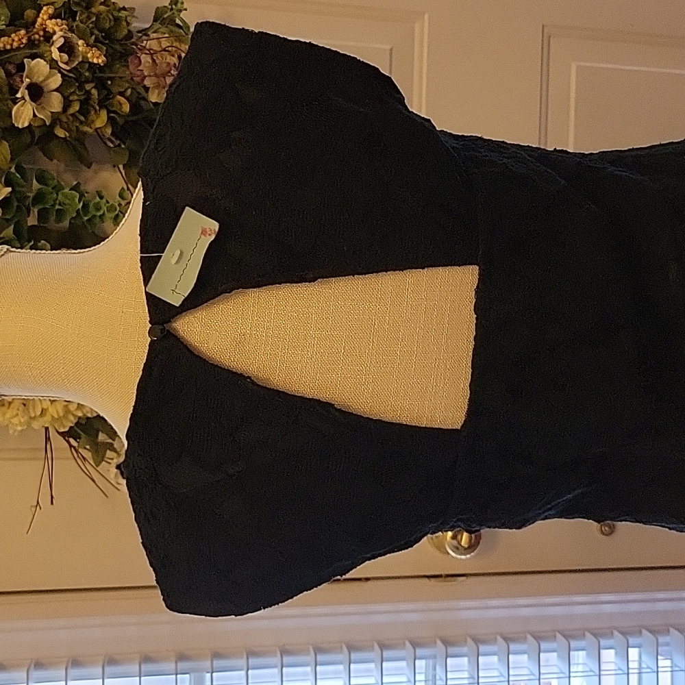 T. BLEU black lace sleeveless dress lined modified Vneck fitted waist Med New … - Picture 6 of 12
